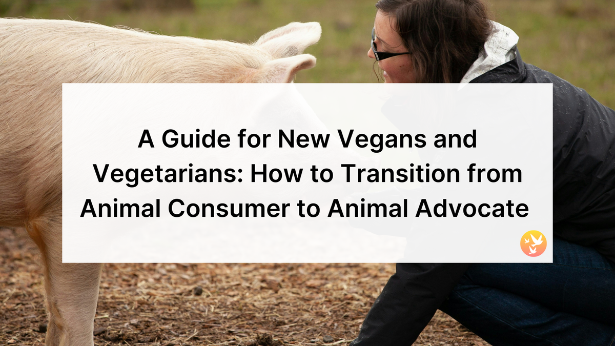 A Guide for New Vegans and Vegetarians: How to Transition from Animal Consumer to Animal Advocate