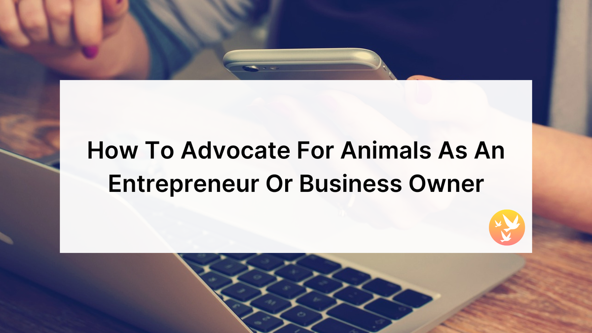 How To Advocate For Animals As An Entrepreneur Or Business Owner